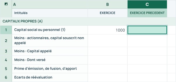Exemple — T1 · Passif